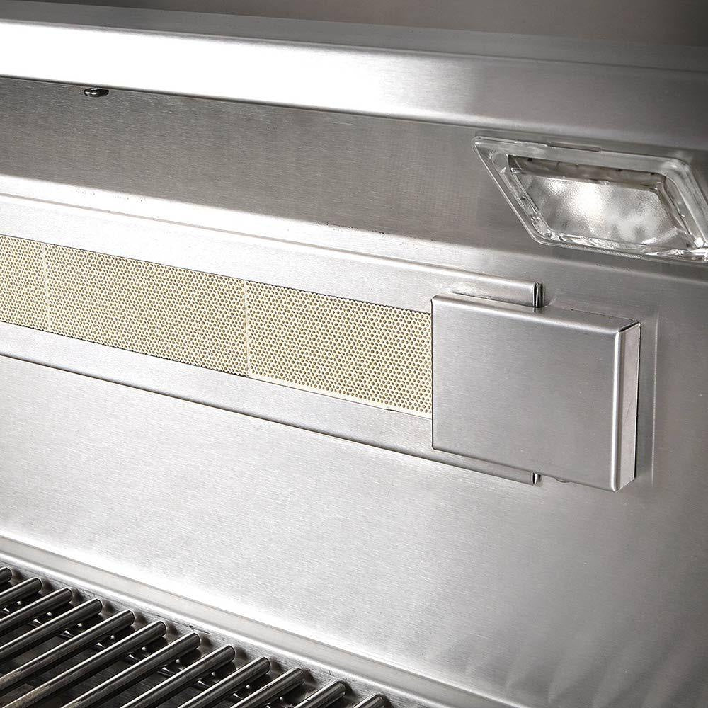 Artisan Professional Series 42-Inch Gas Grill infrared burner and light 